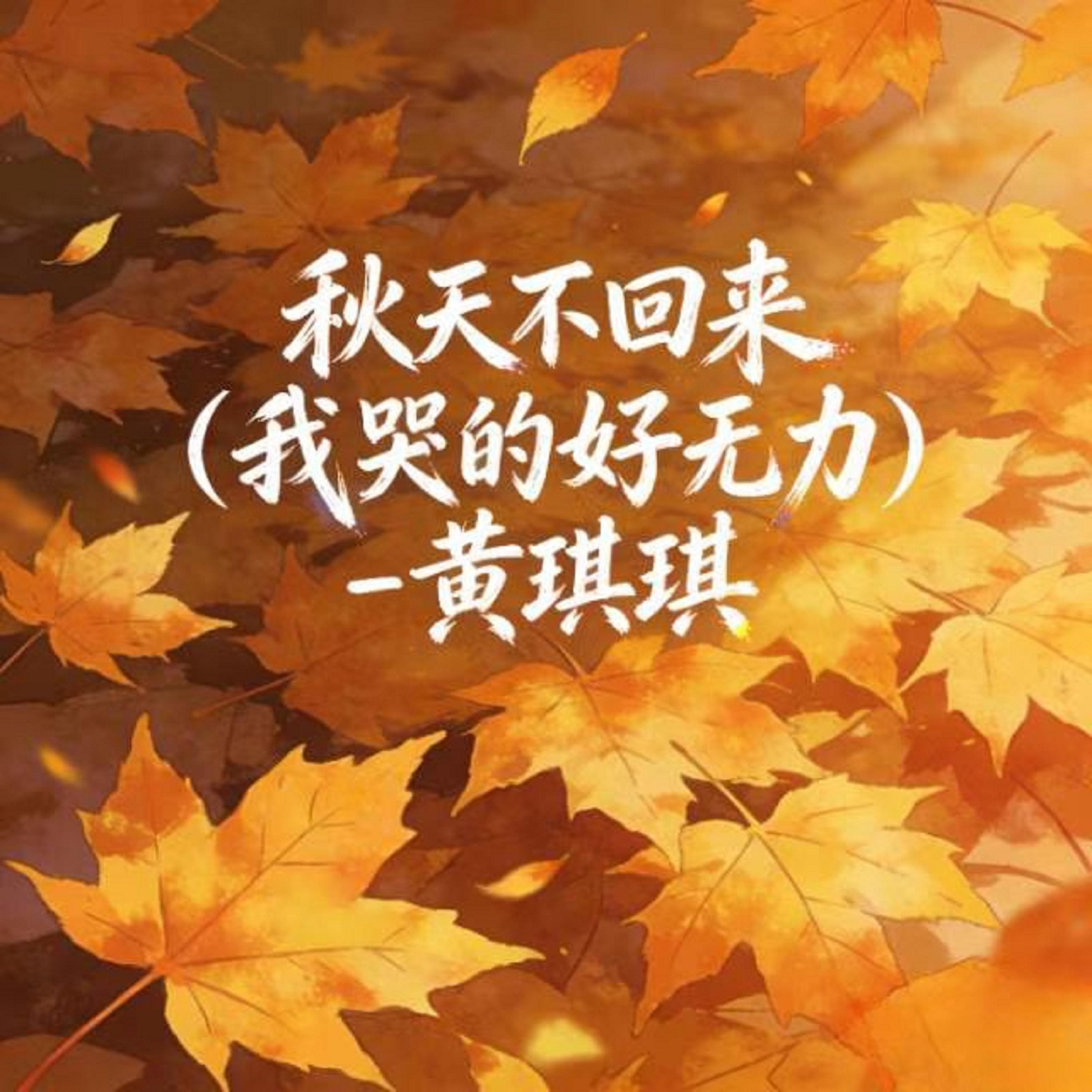 秋天不回来 (烟嗓版)封面