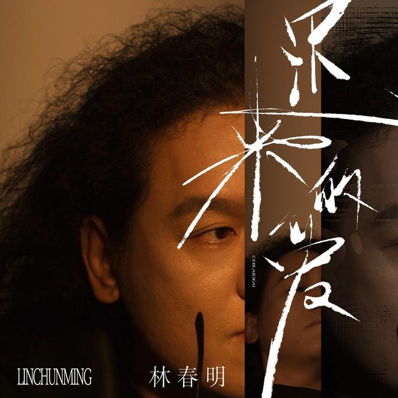 迟来的爱 (DJ锋仔版) - 林春明封面