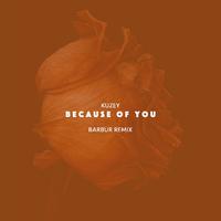 Because of You (Barbur Remix)