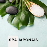 Spa Japonais: Musique de Relaxation ZEN pour le Repos, la Relaxation, le Soulagement du Stress, les Massages et les Soins de SPA