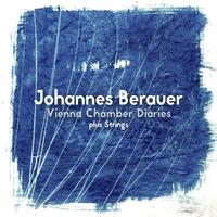 Johannes Berauer - Divertimento in Blue, Pt. 1