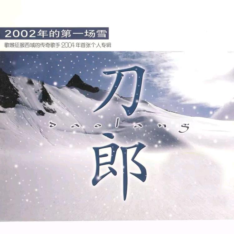 2002年的第一场雪