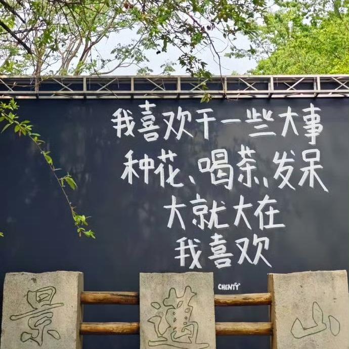 同花顺（cover林倛玉）