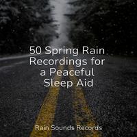 50 Spring Rain Recordings for a Peaceful Sleep Aid