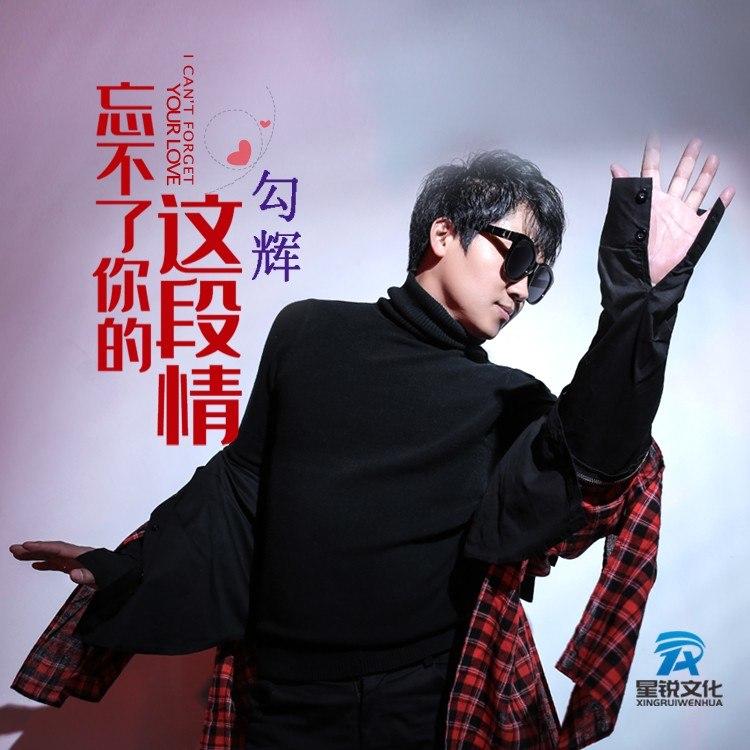 忘不了你的这段情 (DJ何鹏版)封面