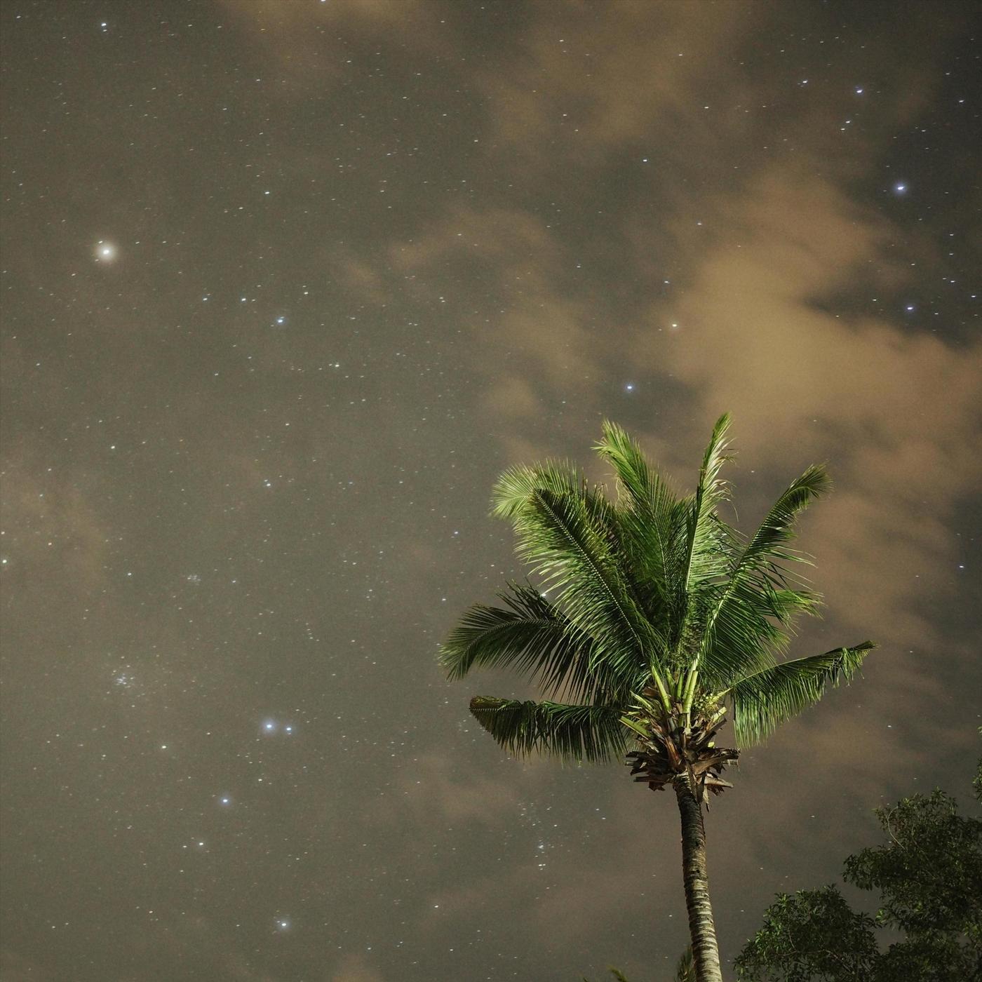 Coffee Under Starlight