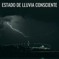 Estado De Lluvia Consciente