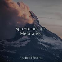 Spa Sounds for Meditation