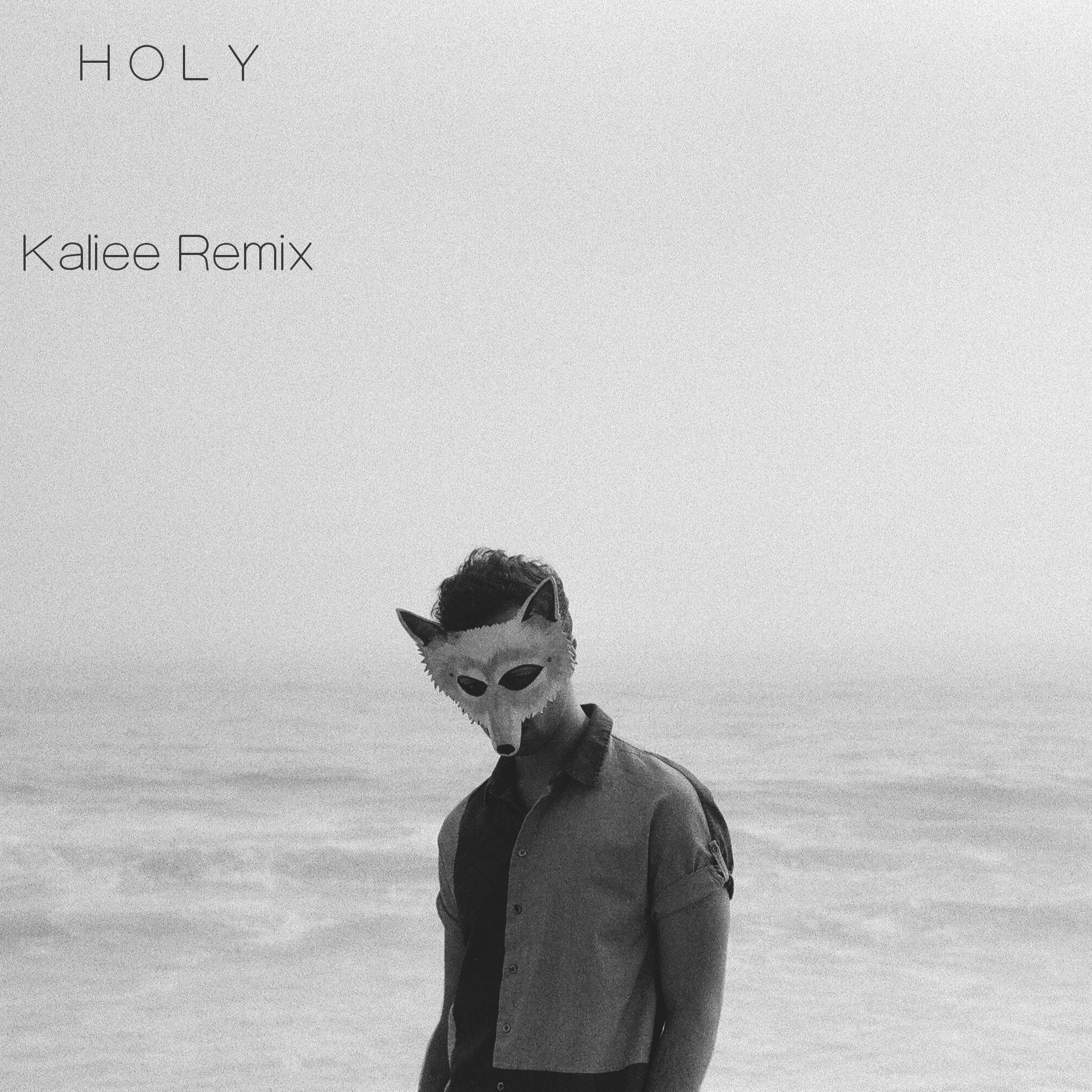 Holy - Wolf Colony（Kaliee remix）