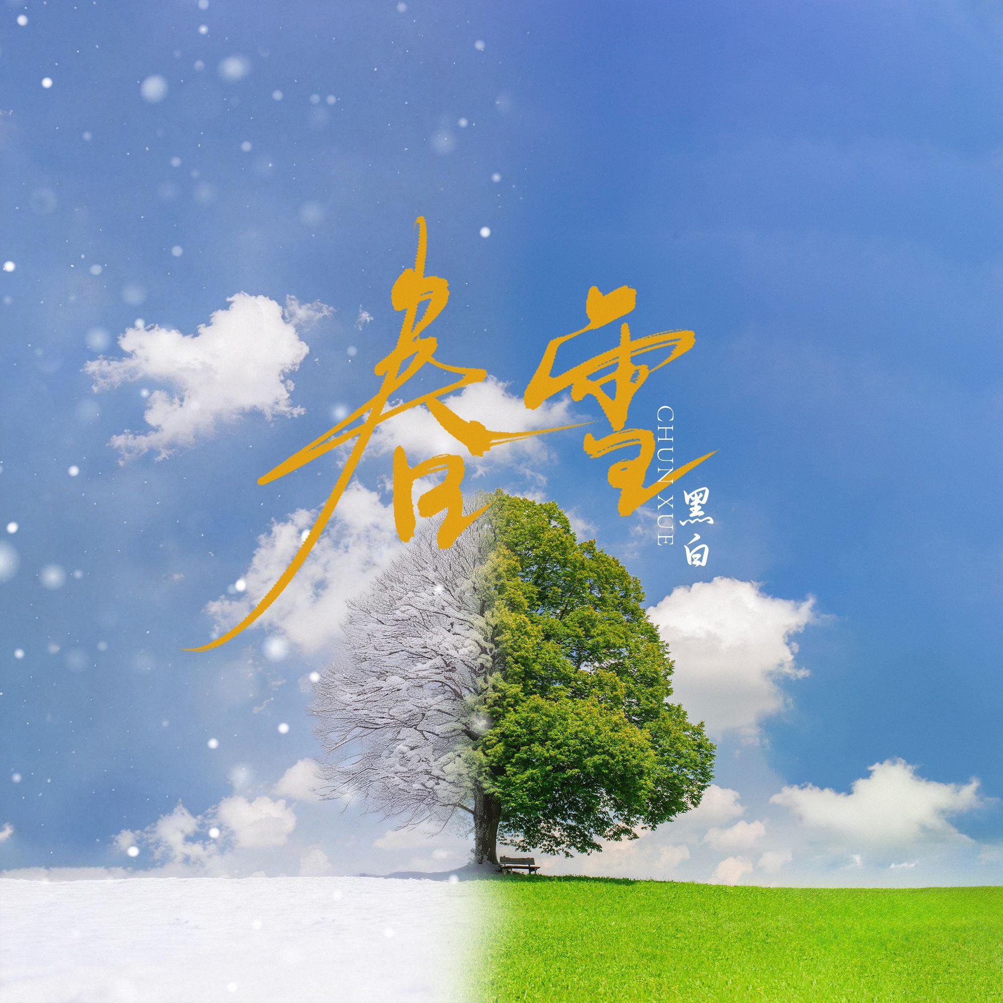 春雪 伴奏封面
