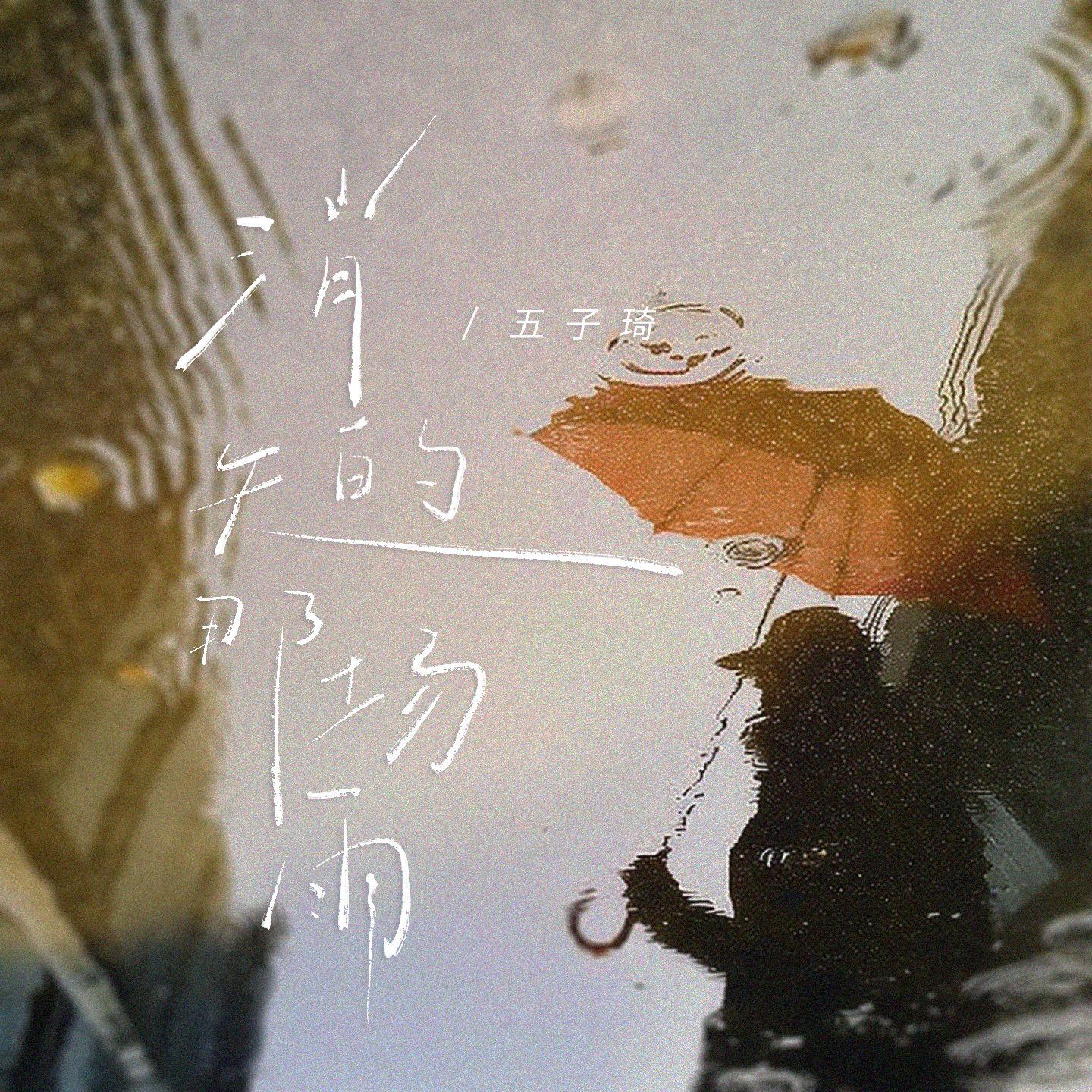 消失的那场雨封面