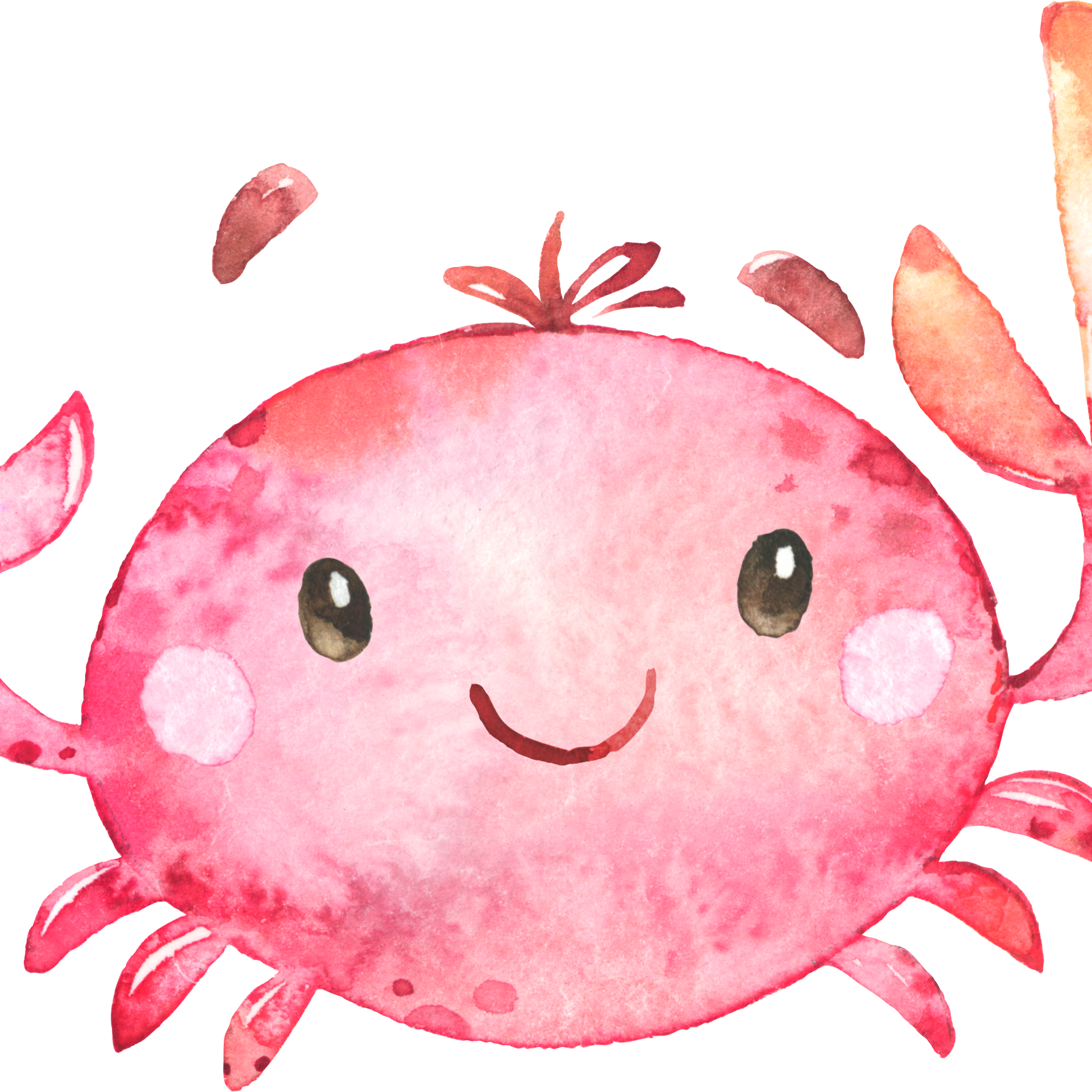 Letting Go  蔡健雅