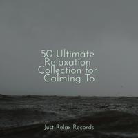 50 Ultimate Relaxation Collection for Calming To