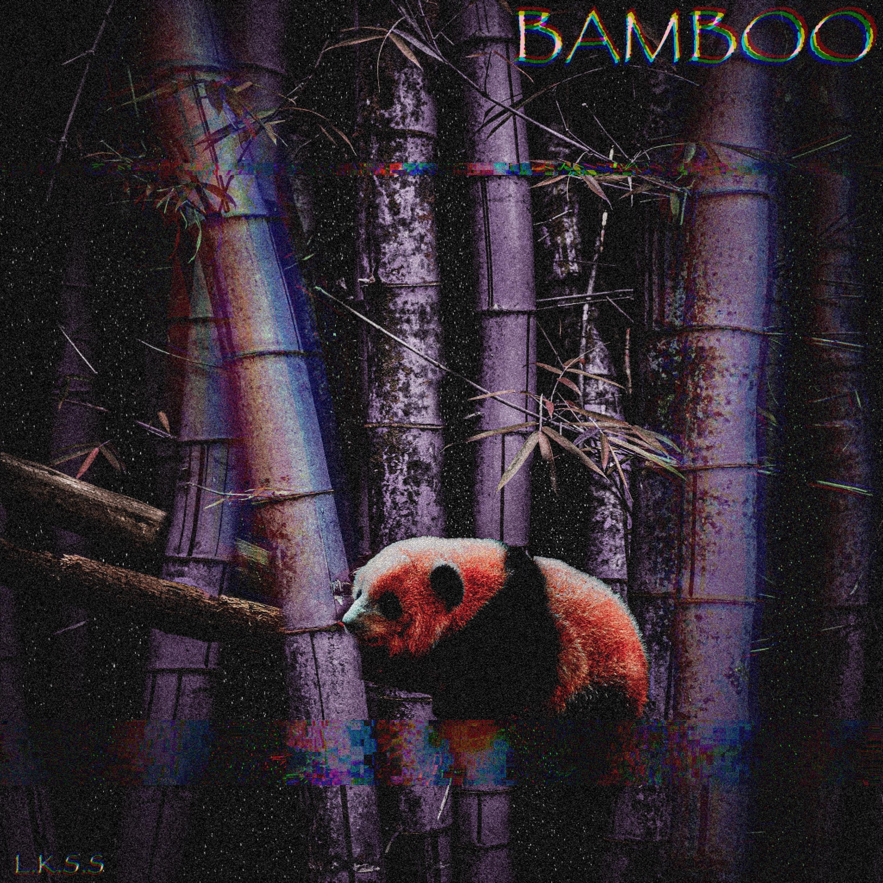 Bamboo