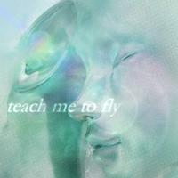 teach me to fly