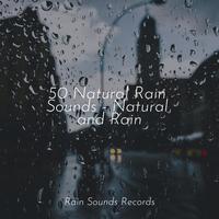 50 Natural Rain Sounds - Natural and Rain