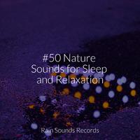 #50 Nature Sounds for Sleep and Relaxation