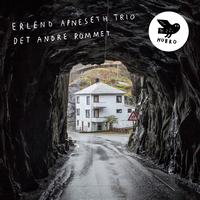 Erlend Apneseth Trio - Under Isen