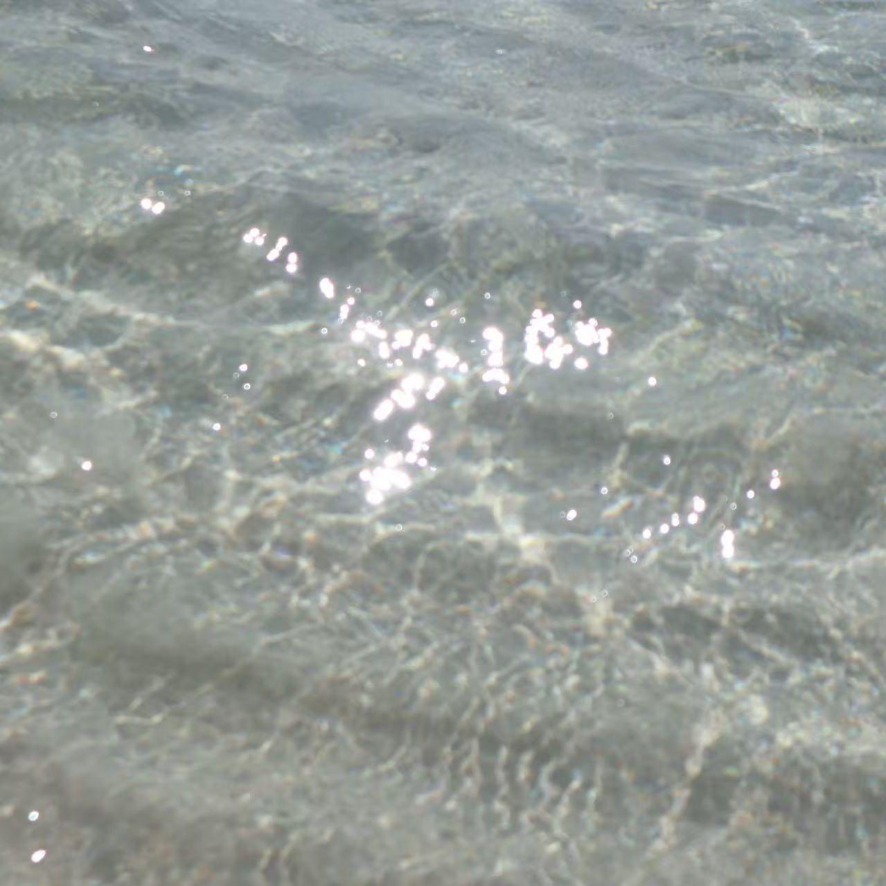 浪人的...（cover.张震岳）封面