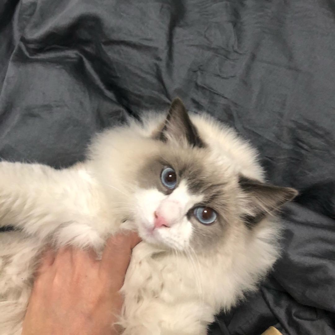 set-DJ Okay 2020-2021 other set（Okay-S remix）