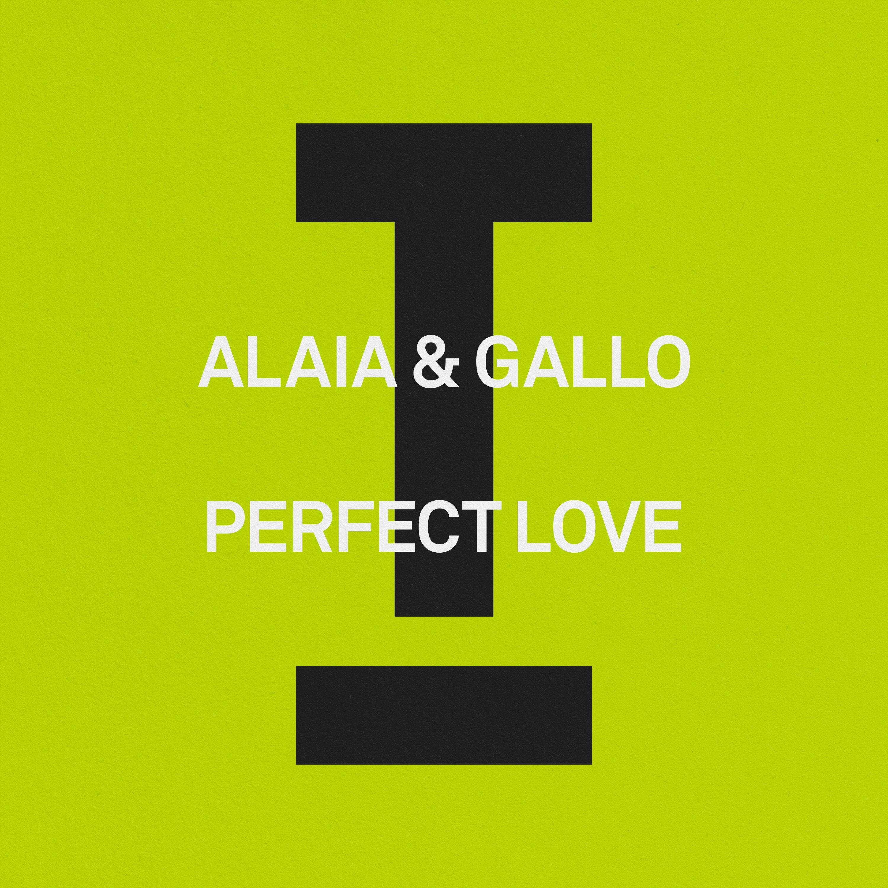 Perfect Love (Extended Mix)