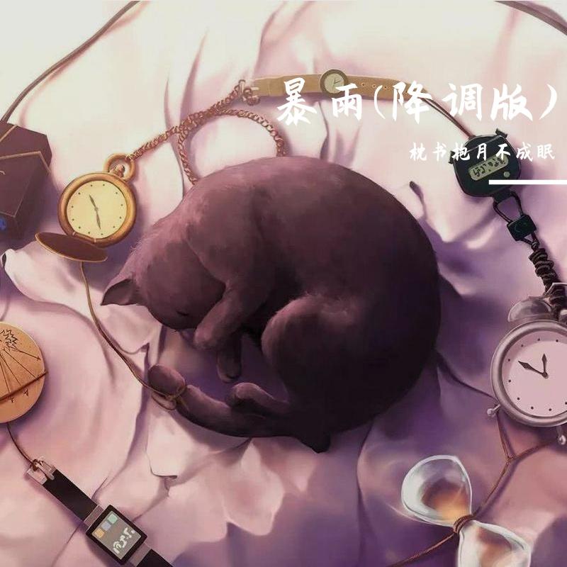 暴雨(0.8x)封面