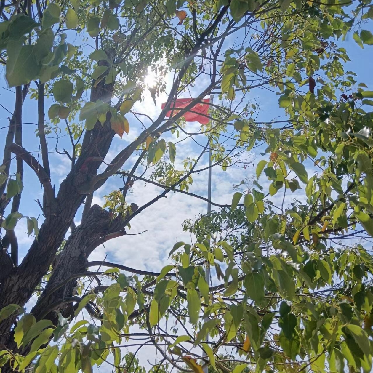 最爱的你 - 徐先生封面