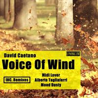 Voice of Wind