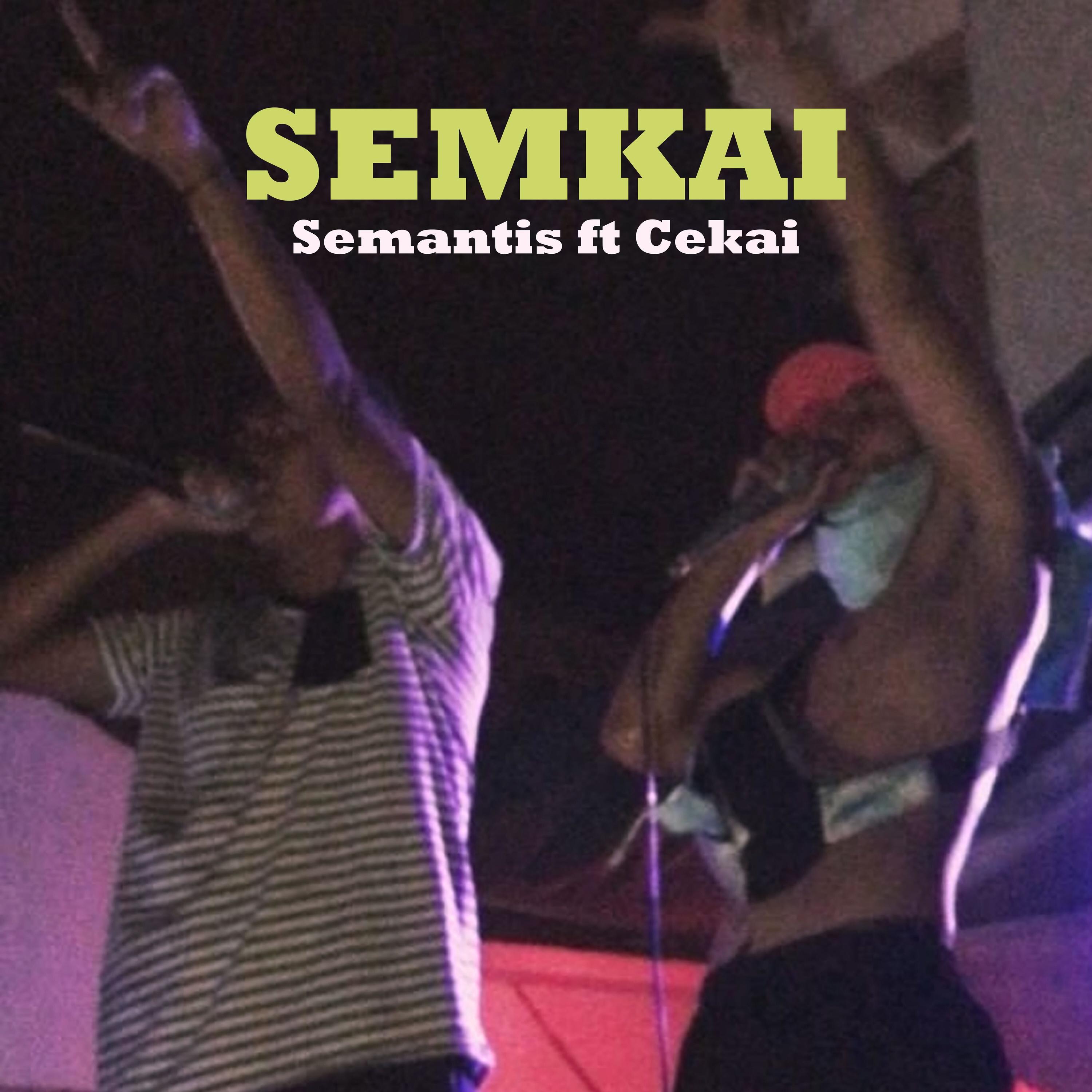Semkai - Semantis DLC - 专辑 - 网易云音乐