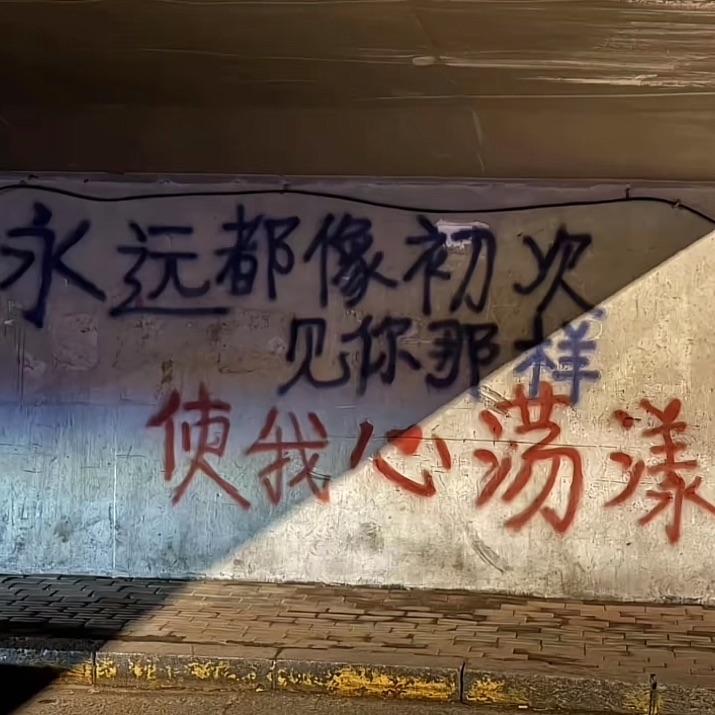 程艾影-cui.封面