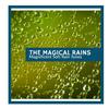 Great Lake Rain Music - Soothed by Forest Animal Music