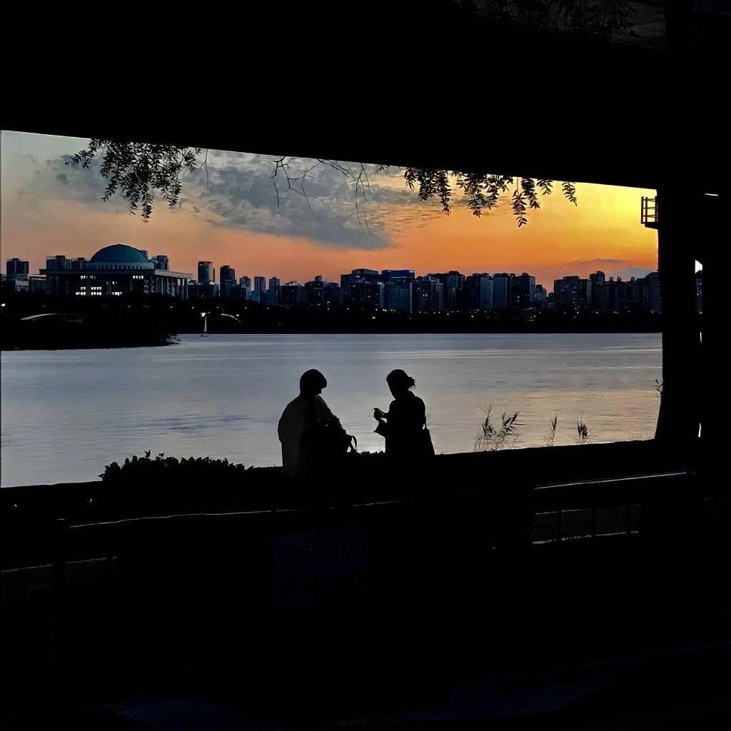 心向封面