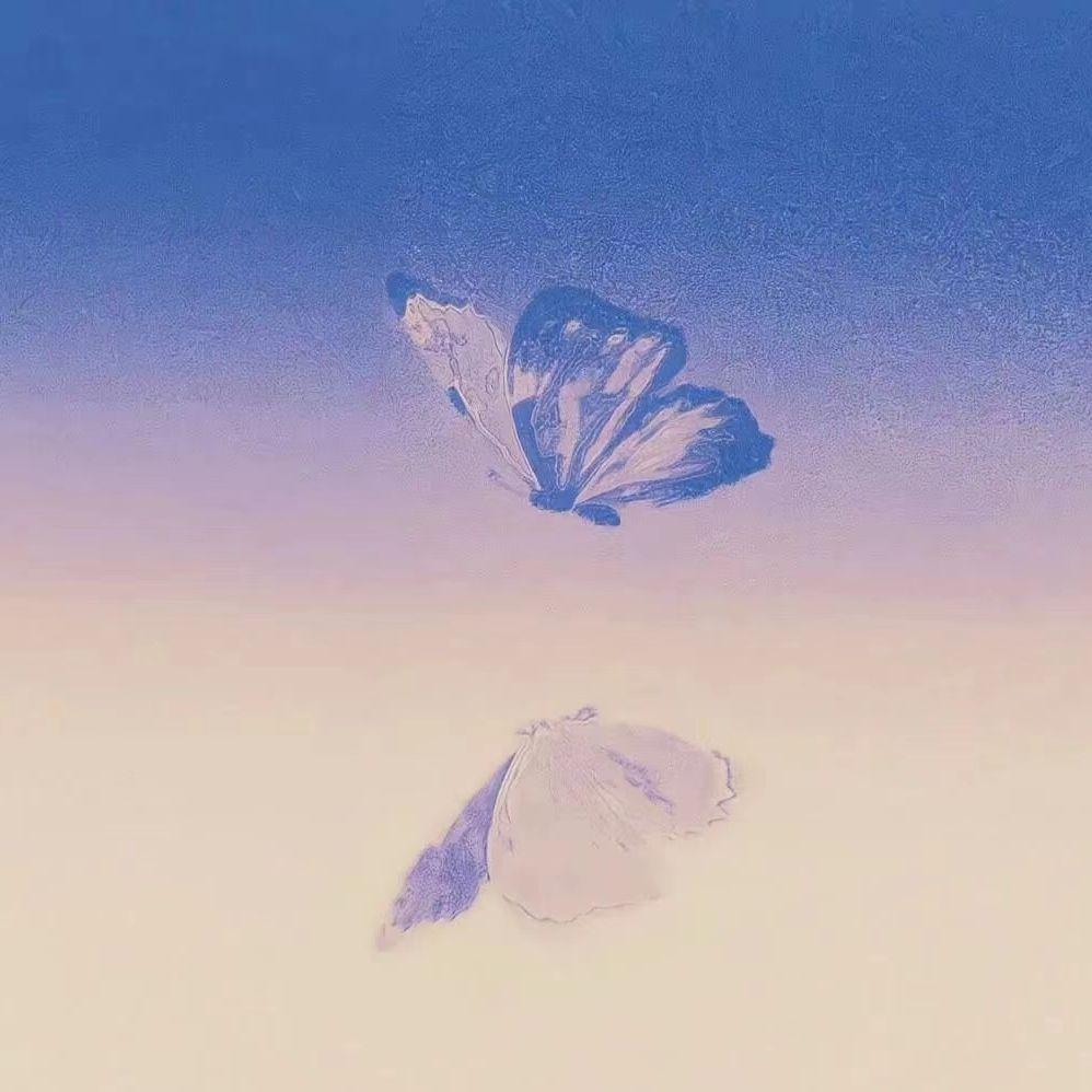 Butterfly封面