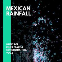 Mexican Rainfall - Music for Inner Peace & Concentration, Vol.5