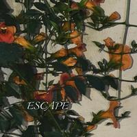 ESCAPE（cover）