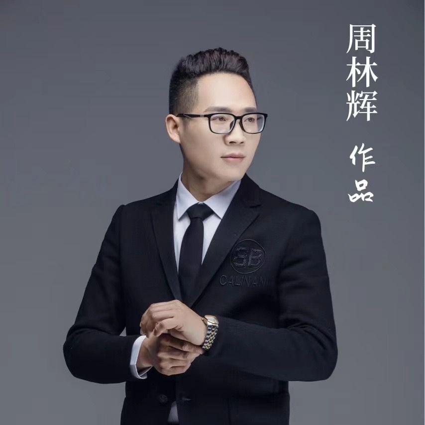是谁伤了渡你的人封面
