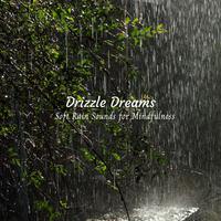 Drizzle Dreams: Soft Rain Sounds for Mindfulness