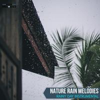 Nature Rain Melodies - Rainy Day Instrumental