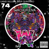 Wachufleiva 74