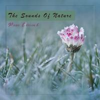 The Sounds of Nature, Piano Edition 6