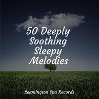 50 Deeply Soothing Sleepy Melodies