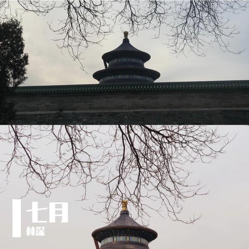 风吟诛仙封面