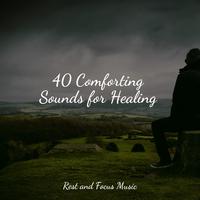 40 Comforting Sounds for Healing