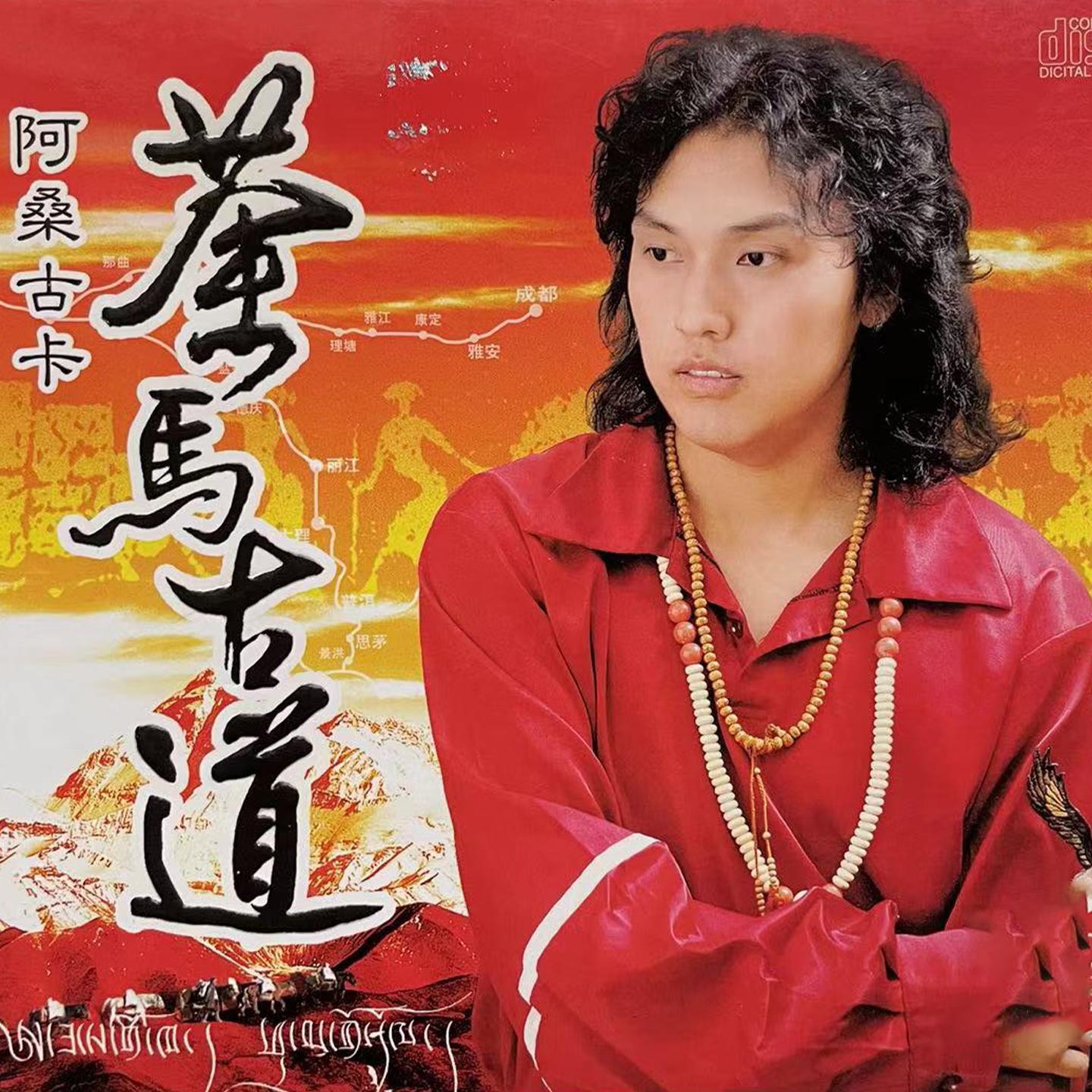 游子情封面