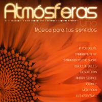 Nature Music Plant - Desert Rain