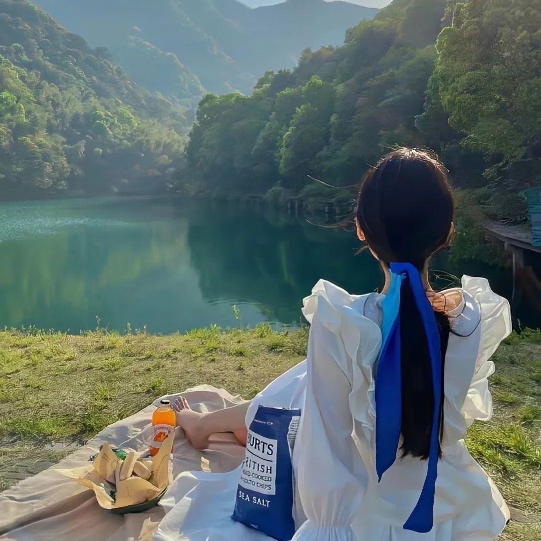 海豚的歌封面
