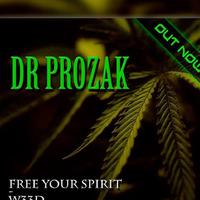 Dr Prozak资料,Dr Prozak最新歌曲,Dr ProzakMV视频,Dr Prozak音乐专辑,Dr Prozak好听的歌