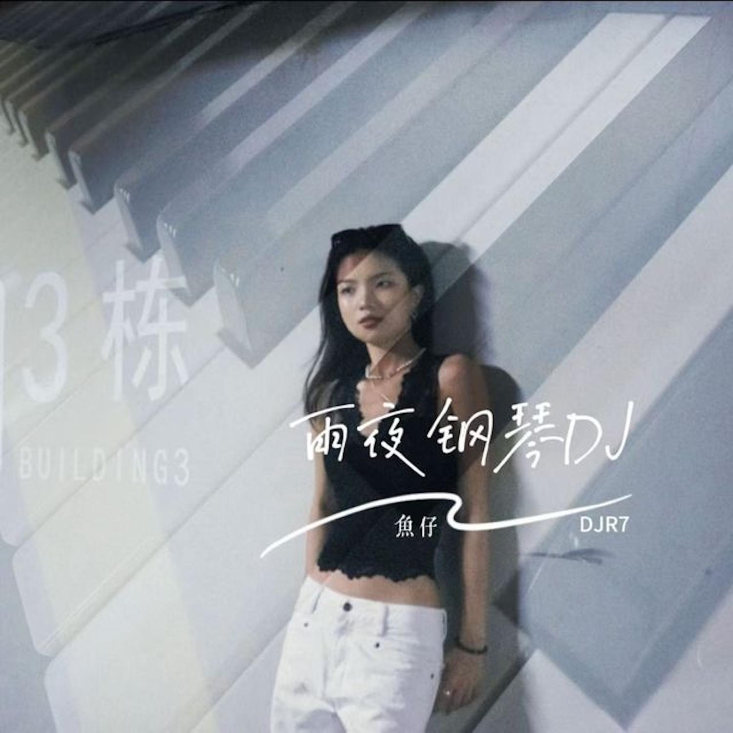 雨夜钢琴 (DJ版)封面