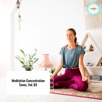 Meditation Concentration Tunes, Vol. 03