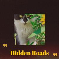 Hidden Roads